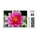 Waterlilly postage