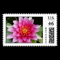 Waterlilly postage