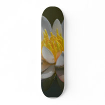 Waterlilly Waterlillies Water skateboards