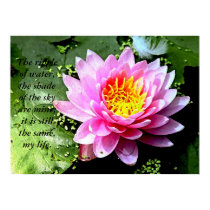 WaterLillyBright, The ripple of water, the shad... posters