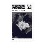 waterlily258x321 stamp