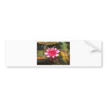 Waterlily bumper stickers by creativewizzard Waterlily bumper stickers
