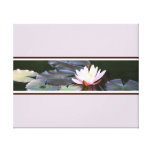 Waterlily Gallery Wrapped Canvas