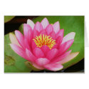 Waterlily Card by ggbythebay Waterlily Card