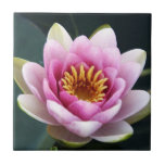 Waterlily tiles