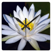 Waterlily Clock wall clocks