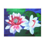 Waterlily Dance Stretched Canvas Prints