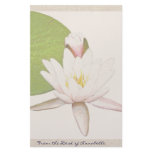 Waterlily Flowers Stationery