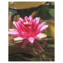 Waterlily flyers by creativewizzard Waterlily flyers