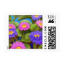 Waterlily Garden Postage