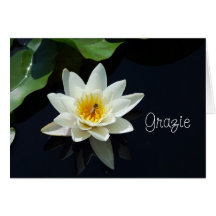waterlily Italian thank you Card
