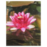 Waterlily Letterhead Template