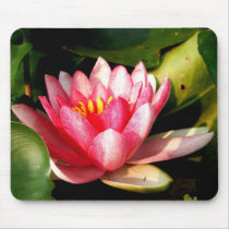 Waterlily mousepads by princessklb07 Waterlily mousepads
