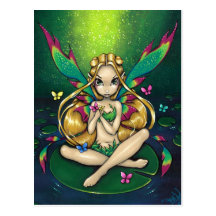 "Waterlily" Postcard