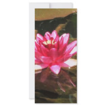 Waterlily rack cards by creativewizzard Waterlily rack cards
