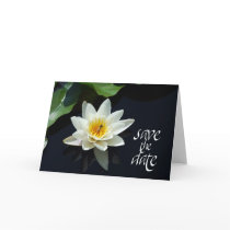 waterlily save the date cards