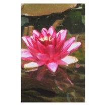 Waterlily stationery by creativewizzard Waterlily stationery