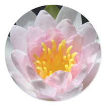 Waterlily Stickers by mlane53 Waterlily Stickers