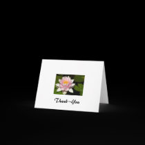 waterlily, Thank~You cards