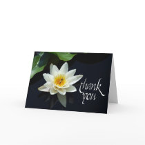 waterlily thank you cards