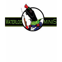 Waterloo Minis Game Shop Kids T-shirts