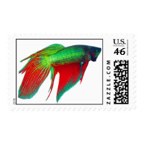 Watermelon Betta First Class Postage Stamp
