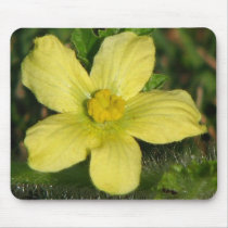 Watermelon Bloom mousepads