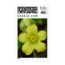 Watermelon Bloom postage by princessklb07 Watermelon Bloom postage