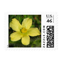 Watermelon Bloom postage by princessklb07 Watermelon Bloom postage