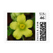 Watermelon Bloom postage by princessklb07 Watermelon Bloom postage