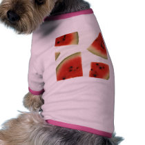 Watermelon pet clothing by GPArkive Watermelon pet clothing