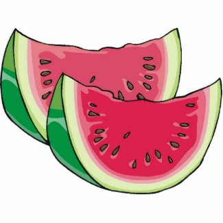 Watermelon photosculpture