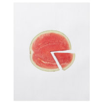 Watermelon pie chart flyer