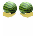 Watermelons hands T-shirt