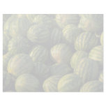 Watermelons Letterhead Template