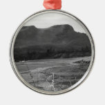 Watermouth, Devon, UK. Black and White. Ornaments