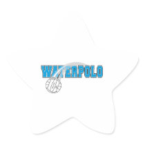 waterpolo logo stickers