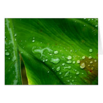 Waterproof cards