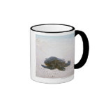 Water's edge mugs