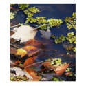 Waters Edge posters