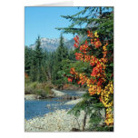 Waterscapes Card