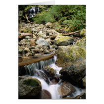 Waterscapes Card by TheCardStudio Waterscapes Card
