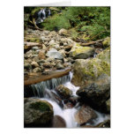 Waterscapes Card