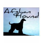 Waterside Afghan Hound Tee Shirts