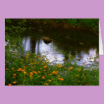 Waterway cards