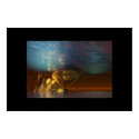 ::: WATERWORLD ::: posters