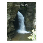Watkins Glen, NY Postcard