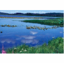 Watson Lake in Summer photo sculptures
