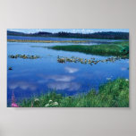 Watson Lake in Summer posters