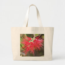 Wattle Fireworks Bag